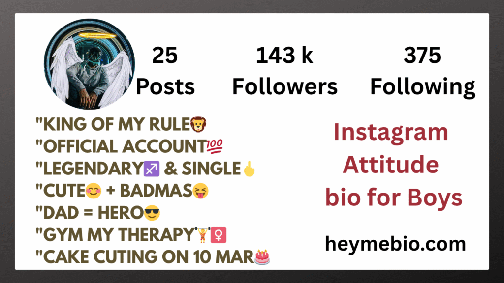 Instagram bio for boys 